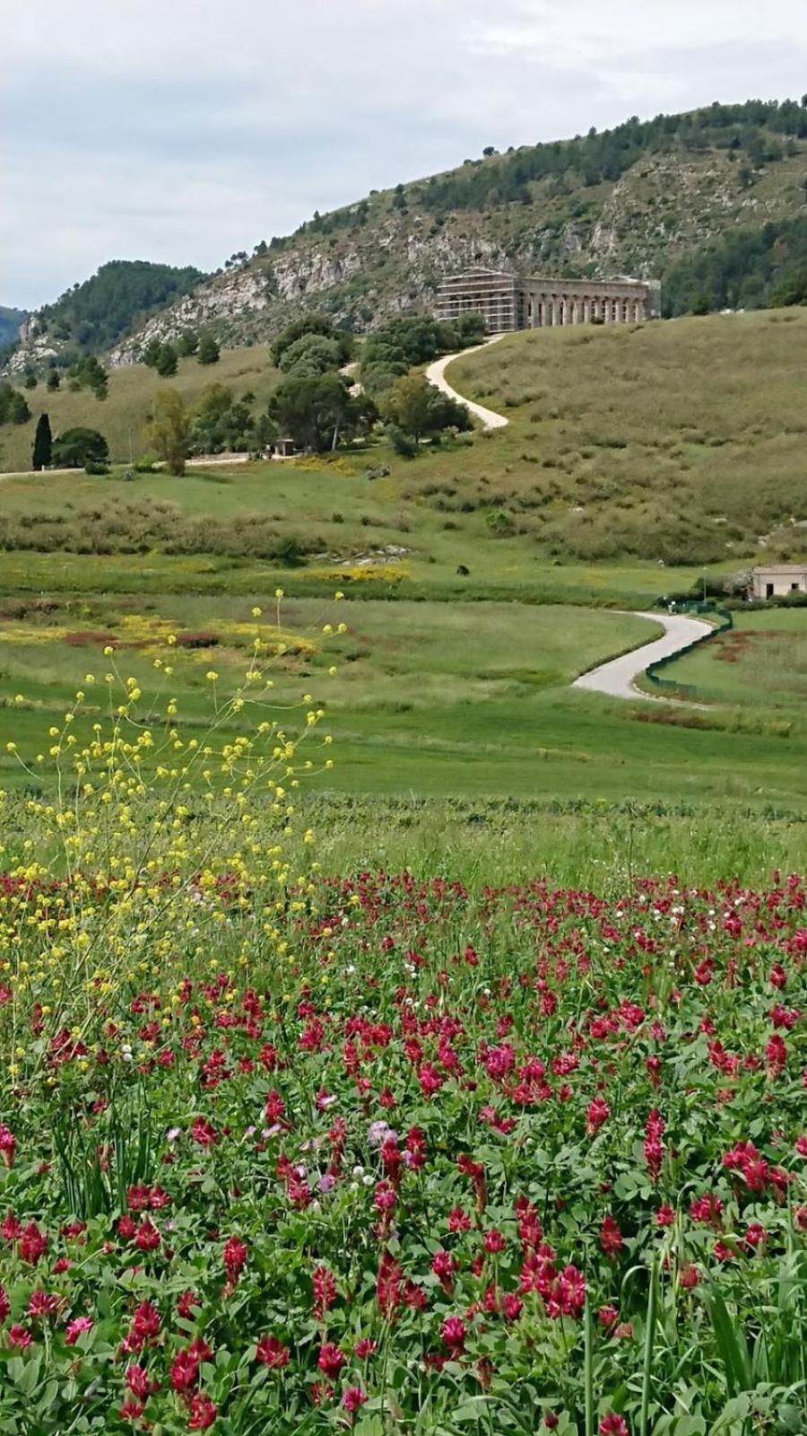كالاتافيمي Helimos Bed&Breakfast Segesta Temple-Castellammare المظهر الخارجي الصورة